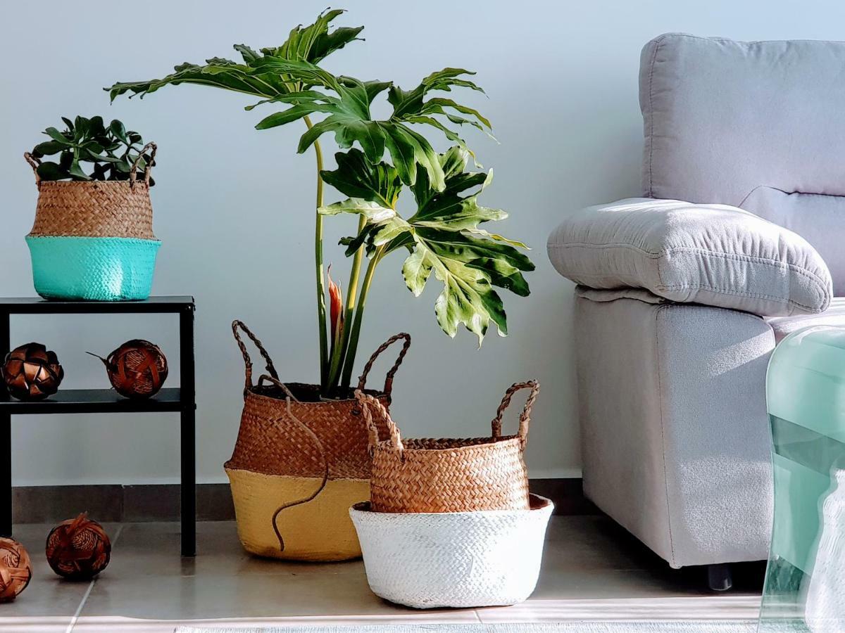 Artichoke Boutique Leilighet Haifa Eksteriør bilde